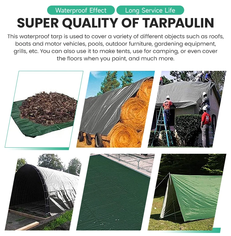 PVC Tarpaulin Fabric/Boat/Car/Truck Covers in High Quality